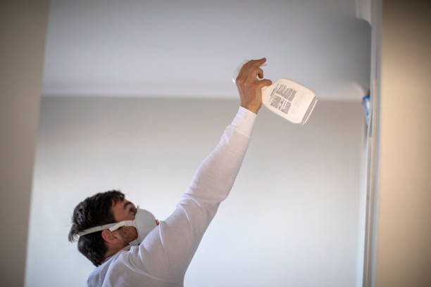 Best White Mold Remediation in Birngham, MI