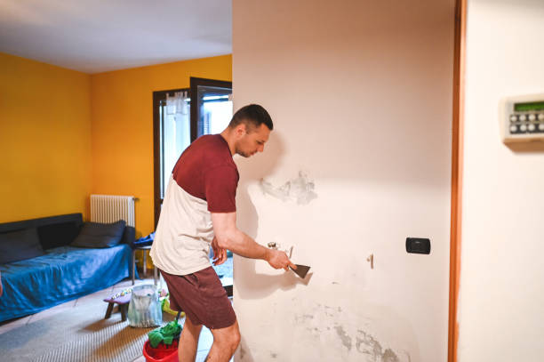 Best Kitchen Mold Remediation in Birngham, MI